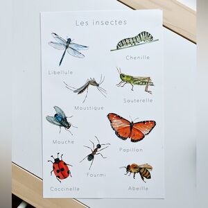 ✨2 for 10$✨ Affiche sur les insectes - French Insect Poster - Kids Room Decor